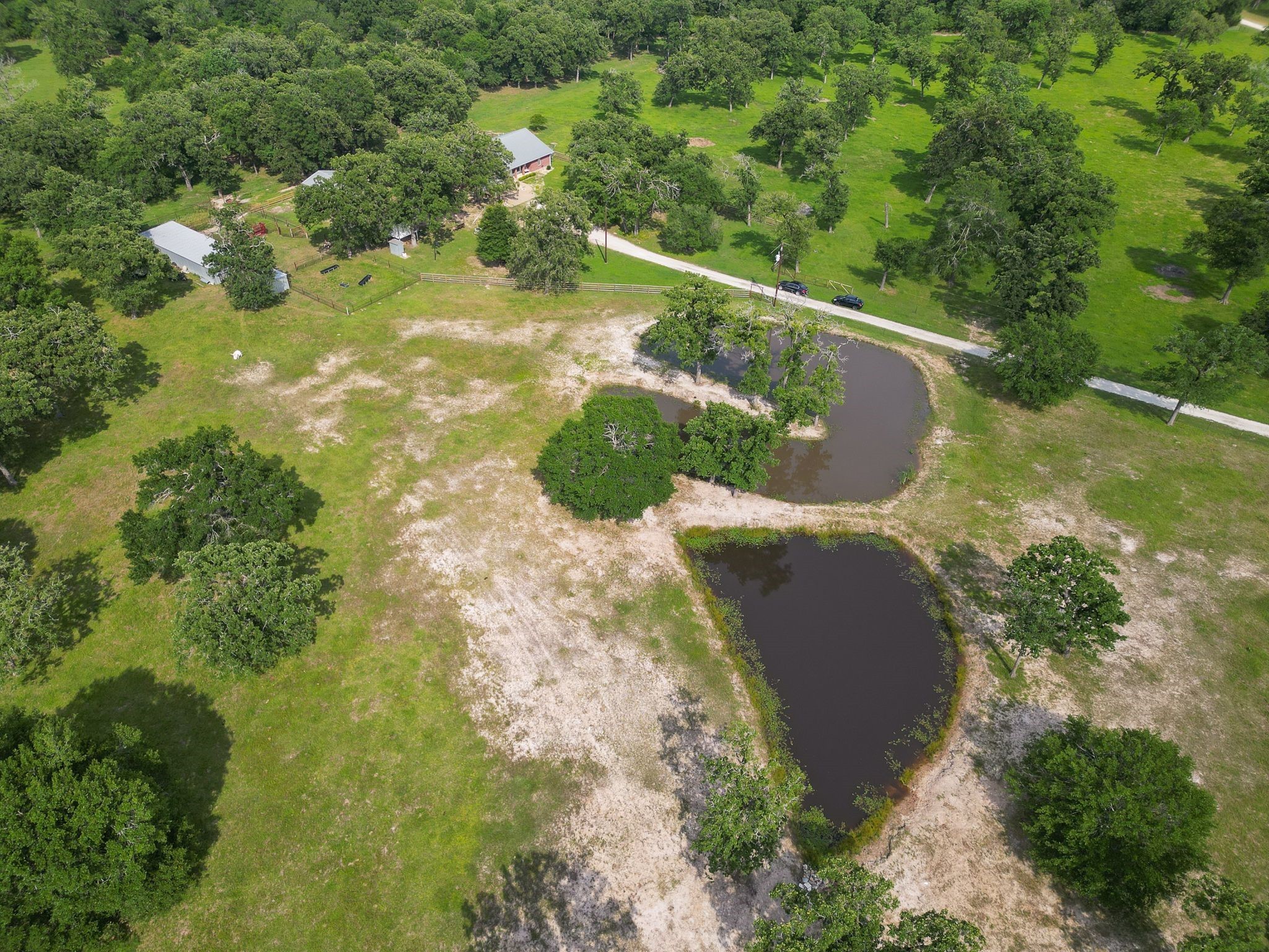 4988 Paso Fino Lane, Madisonville, TX, 77864 | 8468143 | Realty Texas LLC