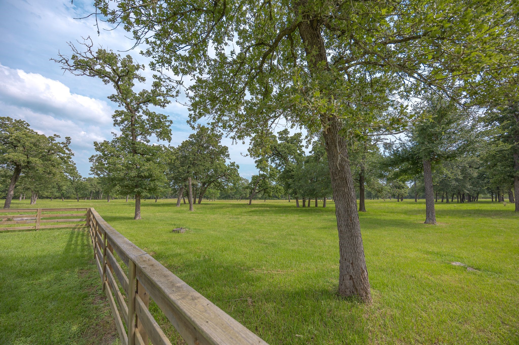 4988 Paso Fino Lane, Madisonville, TX, 77864 | 8468143 | Realty Texas LLC
