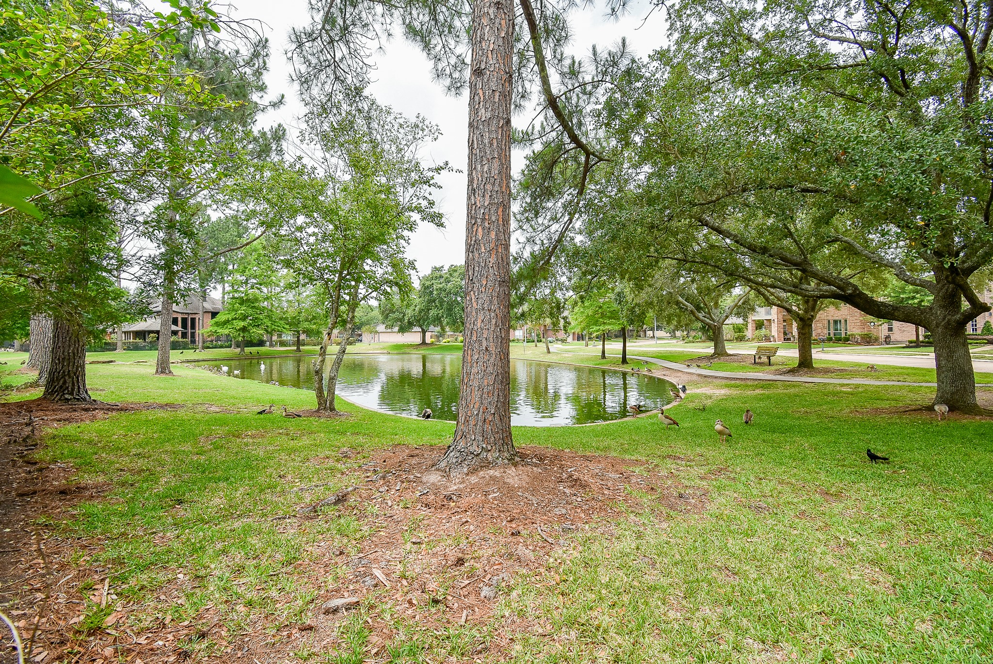 5607 Peninsula Park Drive , Houston, TX, 77041 | 74706969 | Realty Texas LLC