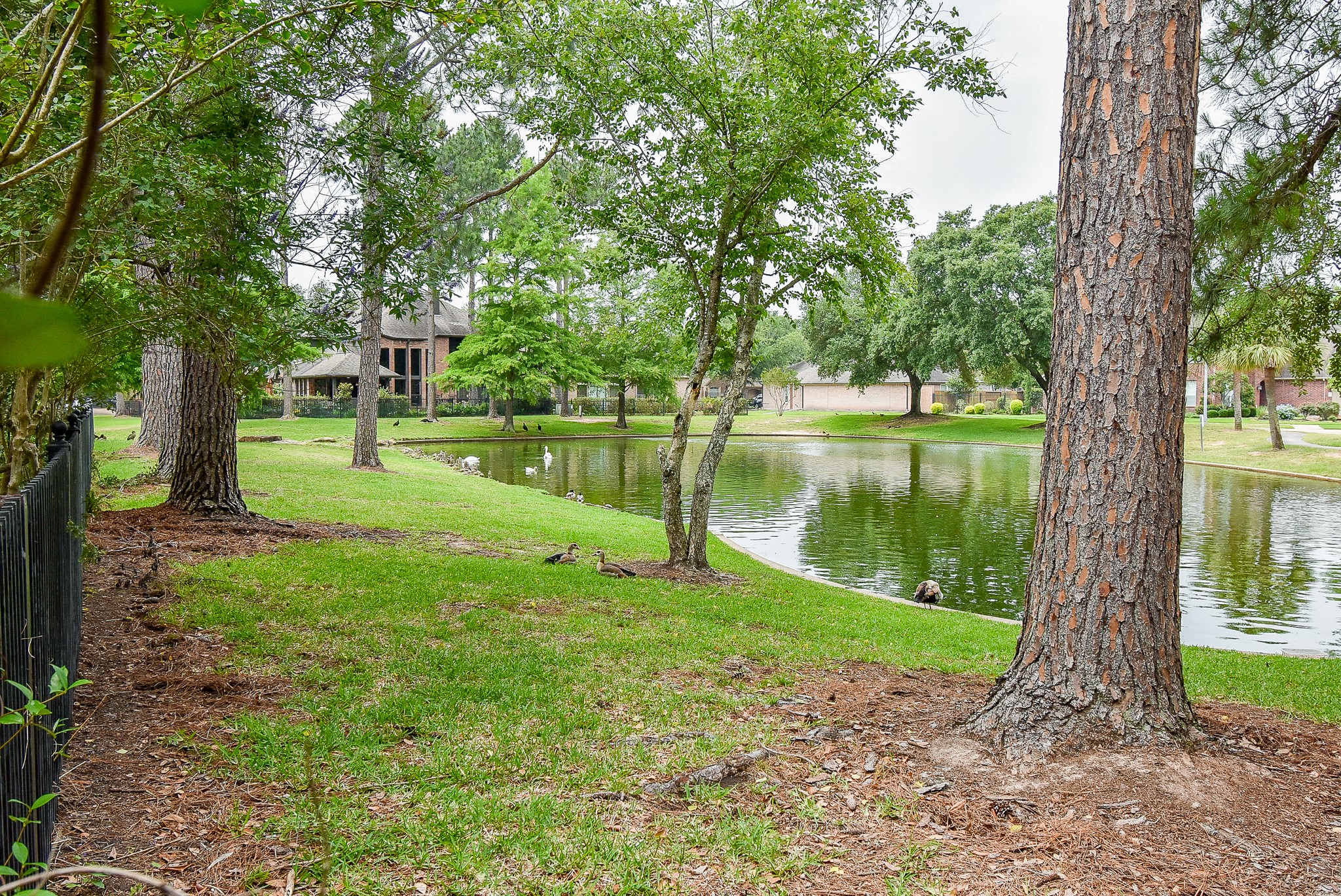5607 Peninsula Park Drive , Houston, TX, 77041 | 74706969 | Realty Texas LLC