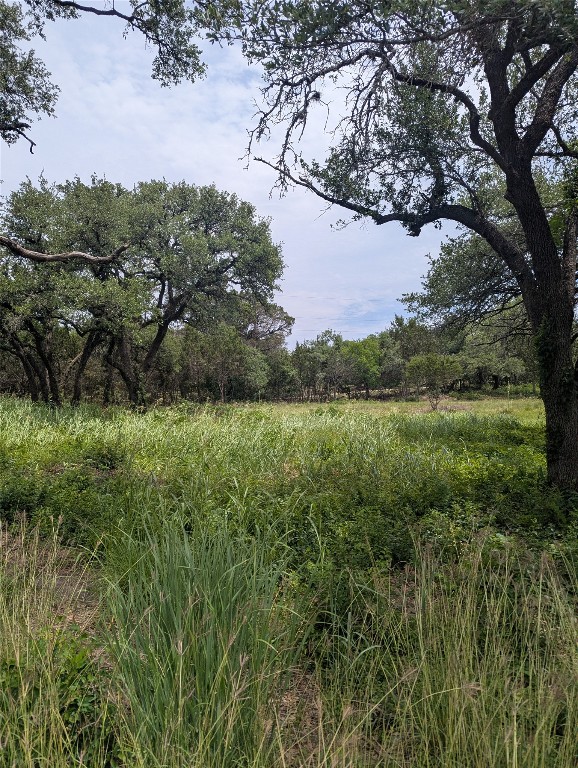 Lot 2 Hamilton Pool Road, Bee Cave, TX, 78738 | 5871532 | Realty Texas LLC