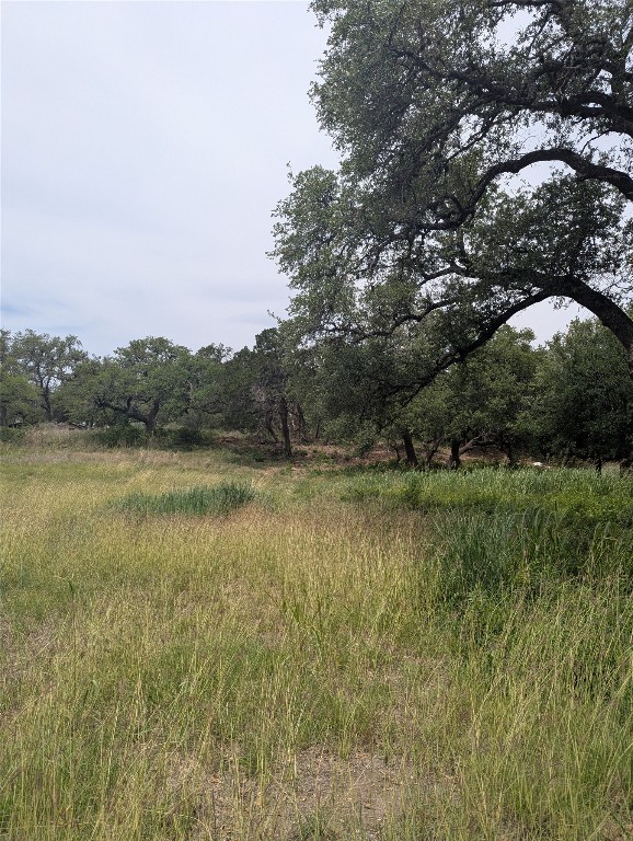 Lot 2 Hamilton Pool Road, Bee Cave, TX, 78738 | 5871532 | Realty Texas LLC