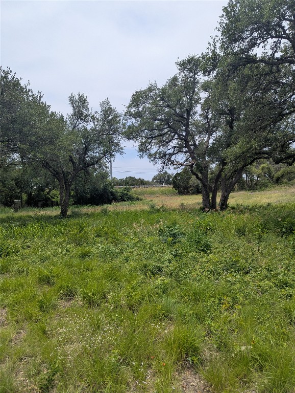 Lot 2 Hamilton Pool Road, Bee Cave, TX, 78738 | 5871532 | Realty Texas LLC