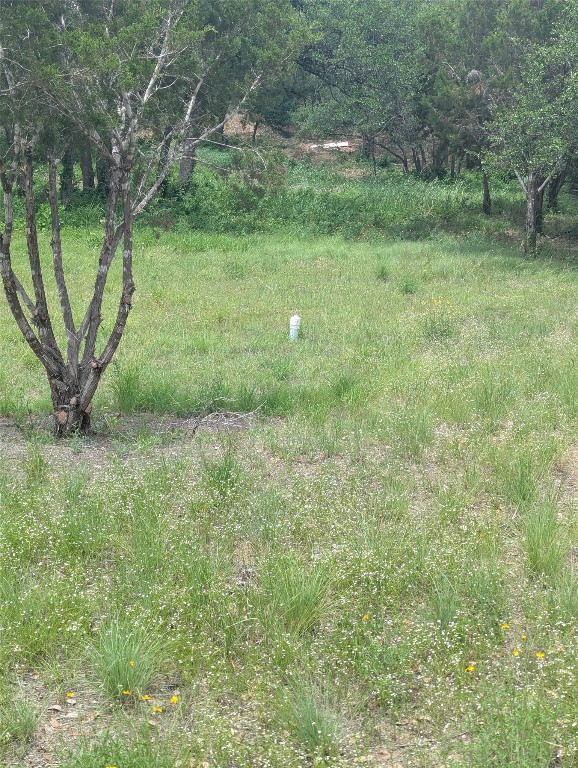 Lot 2 Hamilton Pool Road, Bee Cave, TX, 78738 | 5871532 | Realty Texas LLC