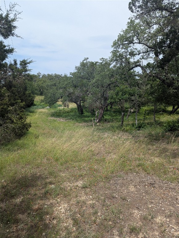 Lot 2 Hamilton Pool Road, Bee Cave, TX, 78738 | 5871532 | Realty Texas LLC