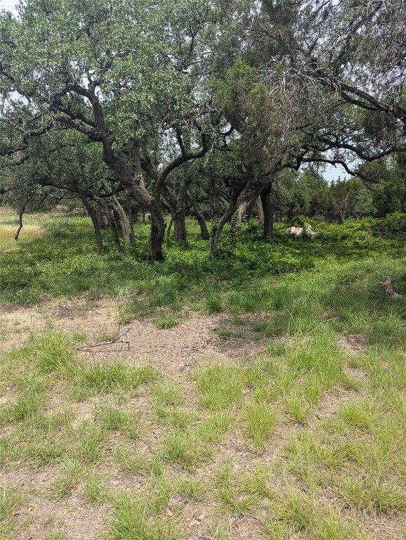 Lot 2 Hamilton Pool Road, Bee Cave, TX, 78738 | 5871532 | Realty Texas LLC