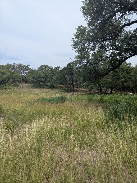 Lot 2 Hamilton Pool Road, Bee Cave, TX, 78738 | 5871532 | Realty Texas LLC