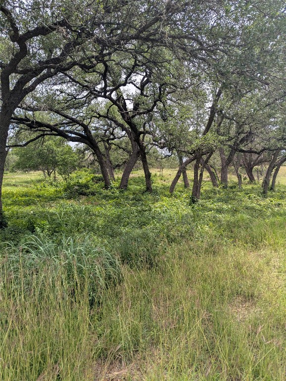 Lot 2 Hamilton Pool Road, Bee Cave, TX, 78738 | 5871532 | Realty Texas LLC