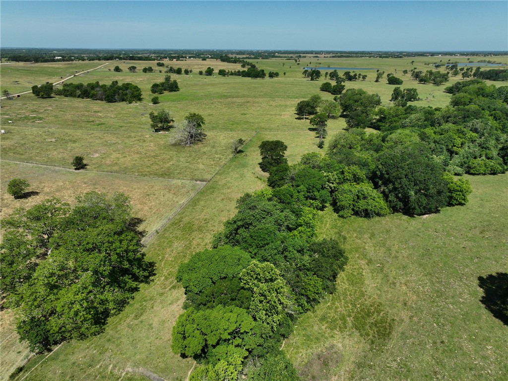 00005 County Road 305 , Navasota, TX, 77868 | 25006173 | Realty Texas LLC