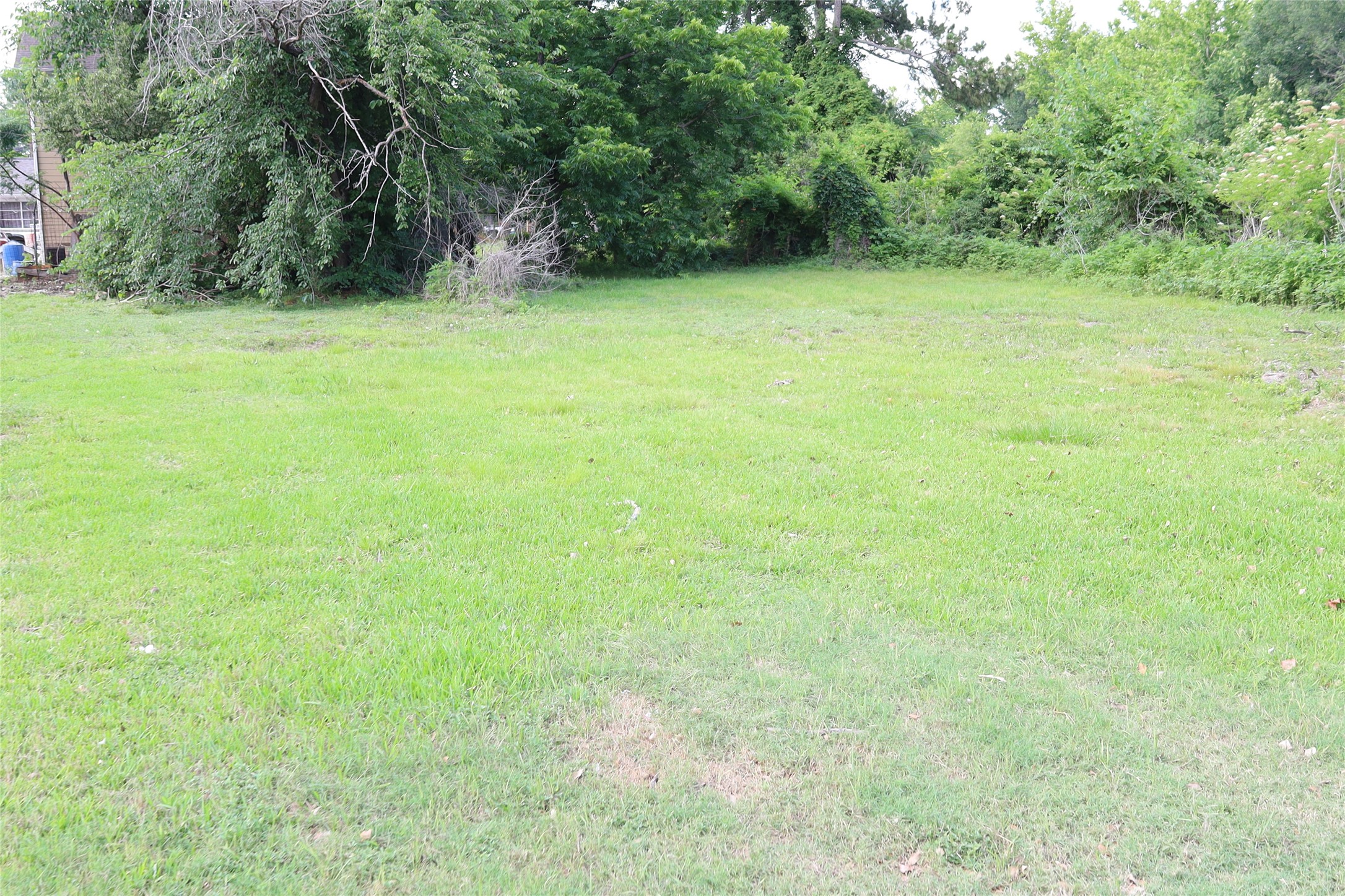 1715 Tarley Street , Houston, TX, 77009 | 30538326 | Realty Texas LLC