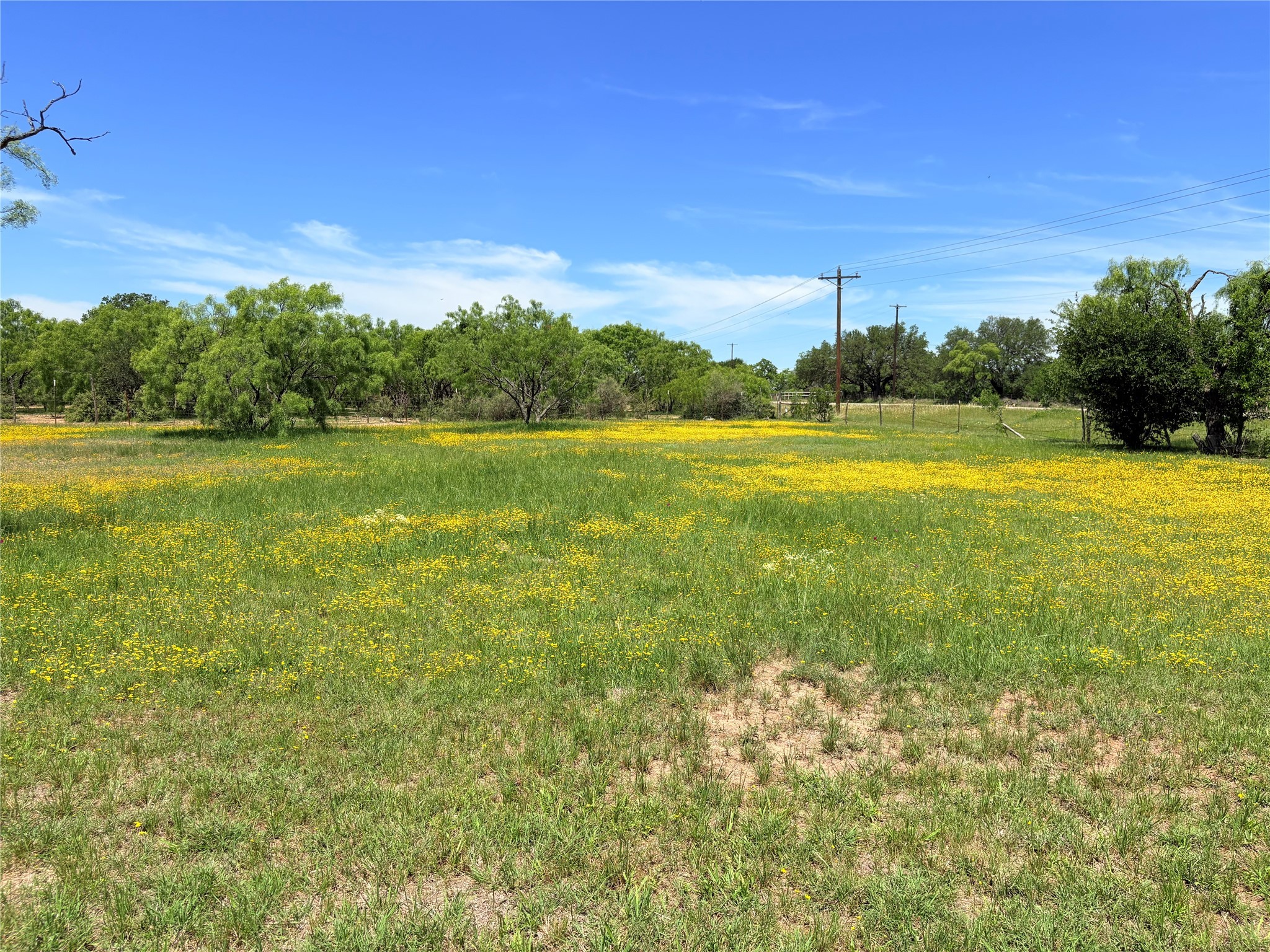 8550 E Hwy 84-183 Highway , Zephyr, TX, 76890 | 20933420 | Realty Texas LLC