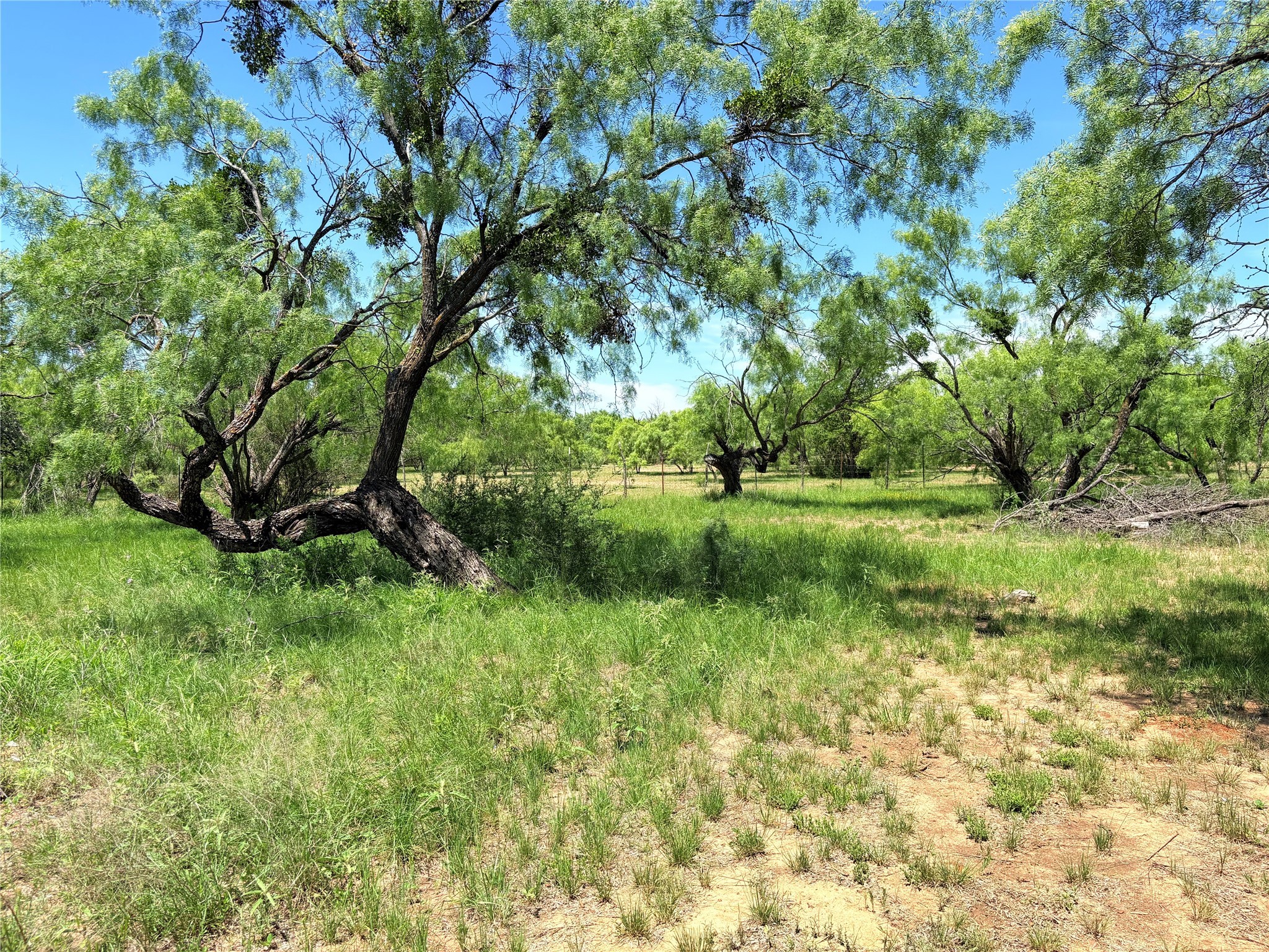8550 E Hwy 84-183 Highway , Zephyr, TX, 76890 | 20933420 | Realty Texas LLC