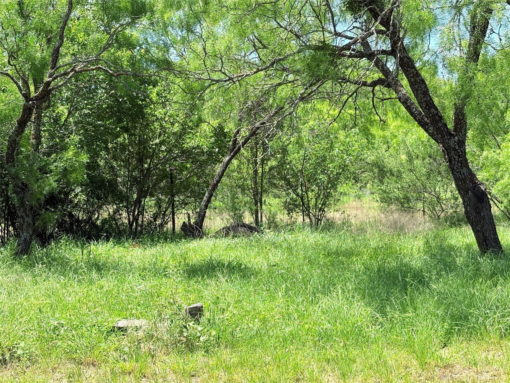 8550 E Hwy 84-183 Highway , Zephyr, TX, 76890 | 20933420 | Realty Texas LLC
