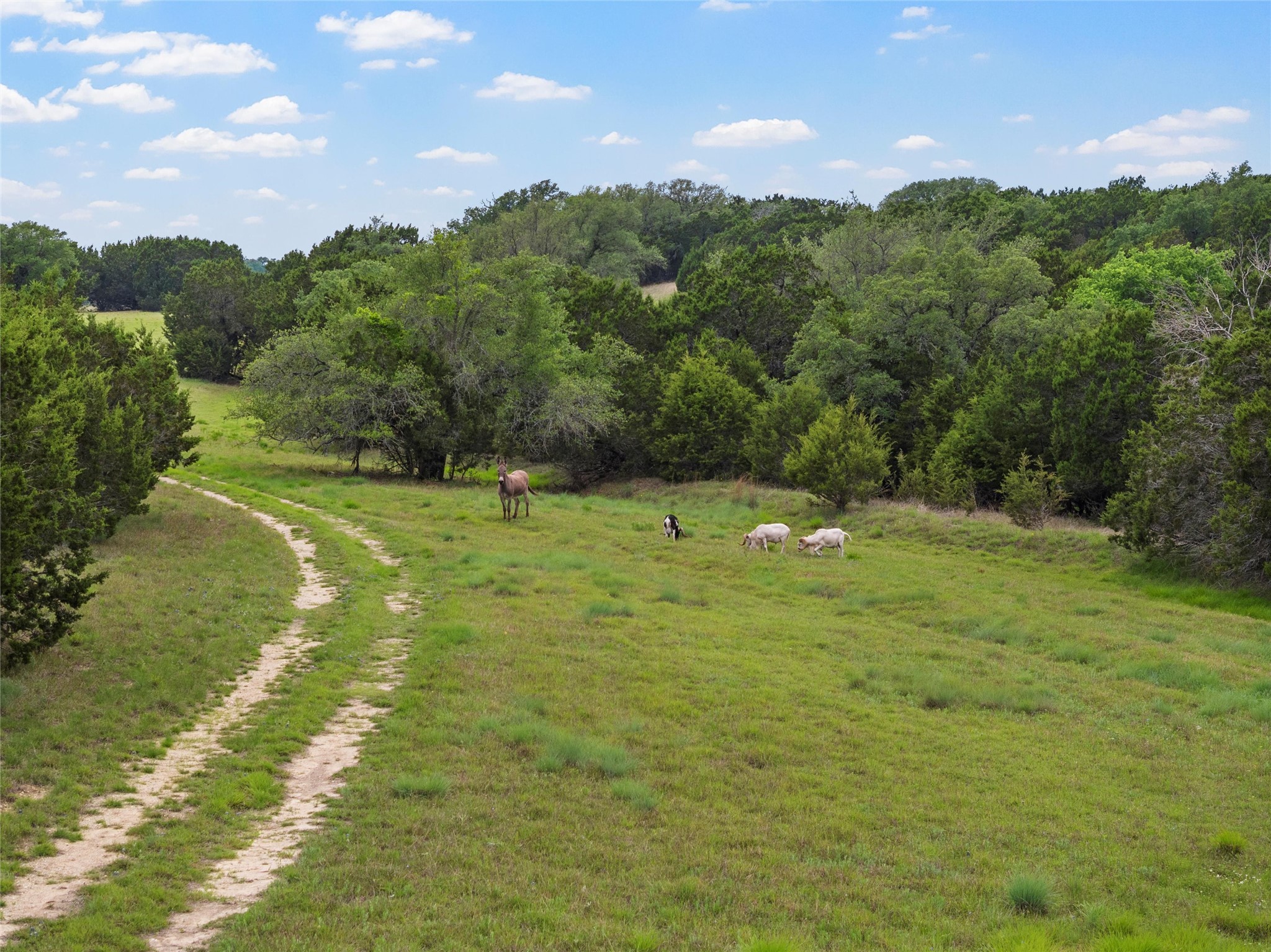 614 County Road 4165 , Cranfills Gap, TX, 76637 | 20947825 | Realty Texas LLC