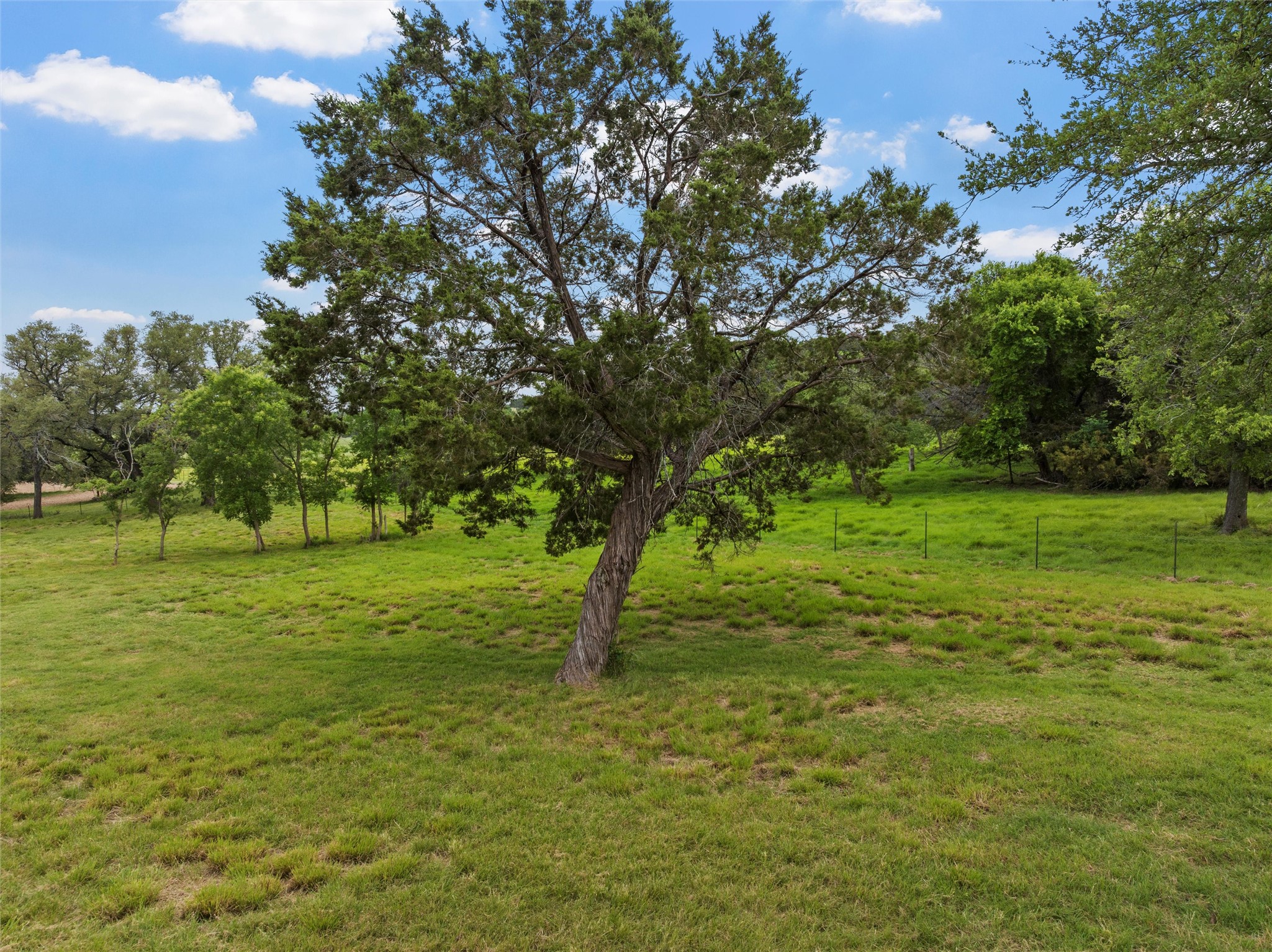 614 County Road 4165 , Cranfills Gap, TX, 76637 | 20947825 | Realty Texas LLC