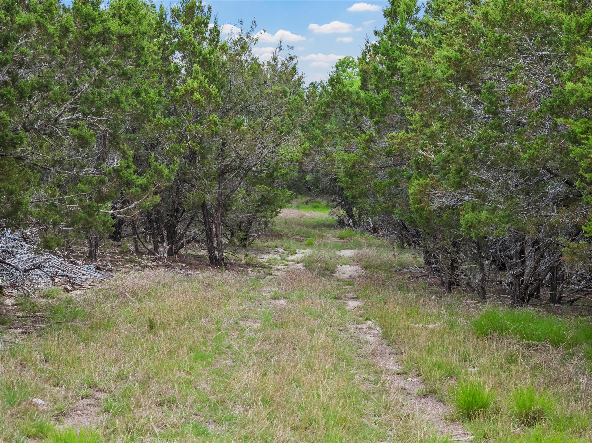 614 County Road 4165 , Cranfills Gap, TX, 76637 | 20947825 | Realty Texas LLC