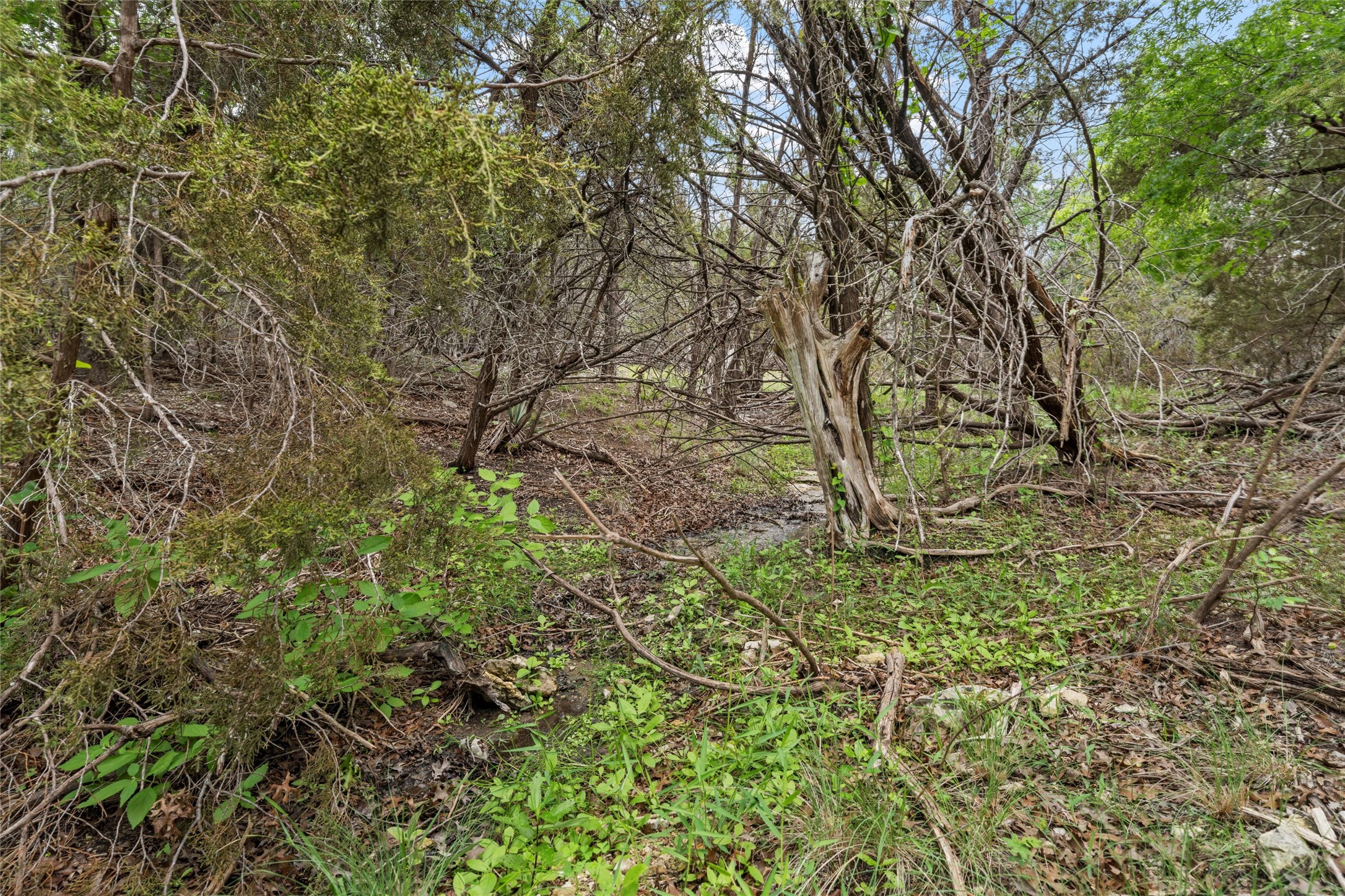 614 County Road 4165 , Cranfills Gap, TX, 76637 | 20947825 | Realty Texas LLC