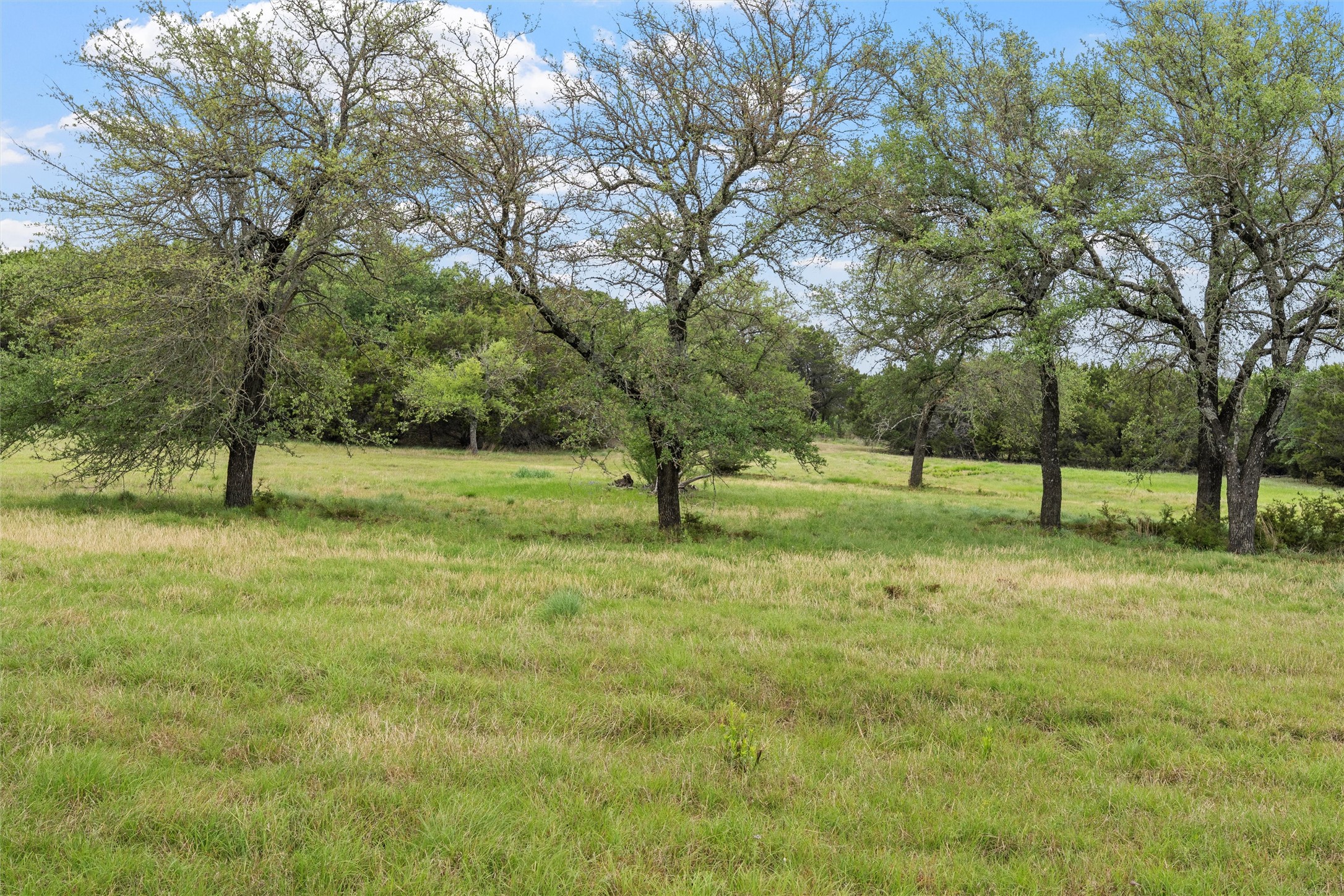 614 County Road 4165 , Cranfills Gap, TX, 76637 | 20947825 | Realty Texas LLC