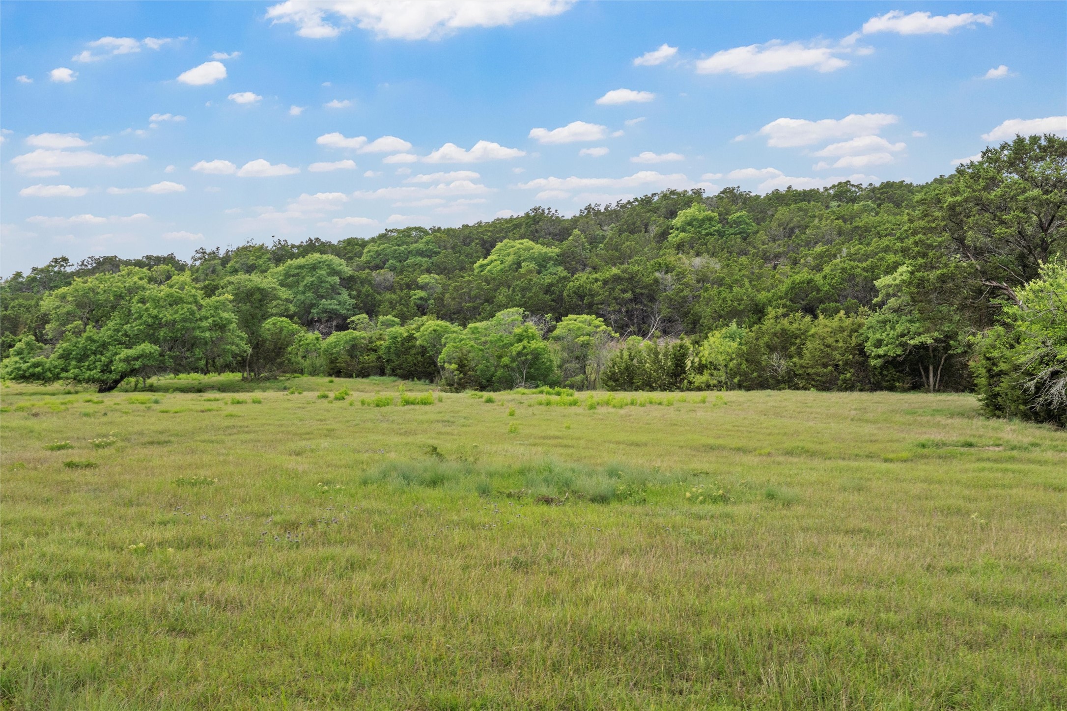 614 County Road 4165 , Cranfills Gap, TX, 76637 | 20947825 | Realty Texas LLC