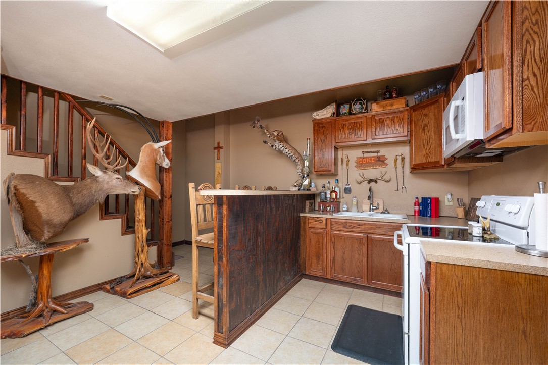 227 S Hollow Tree, Alice, TX, 78332 | 459687 | Realty Texas LLC