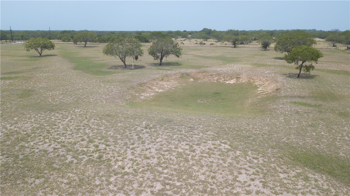 227 S Hollow Tree, Alice, TX, 78332 | 459687 | Realty Texas LLC