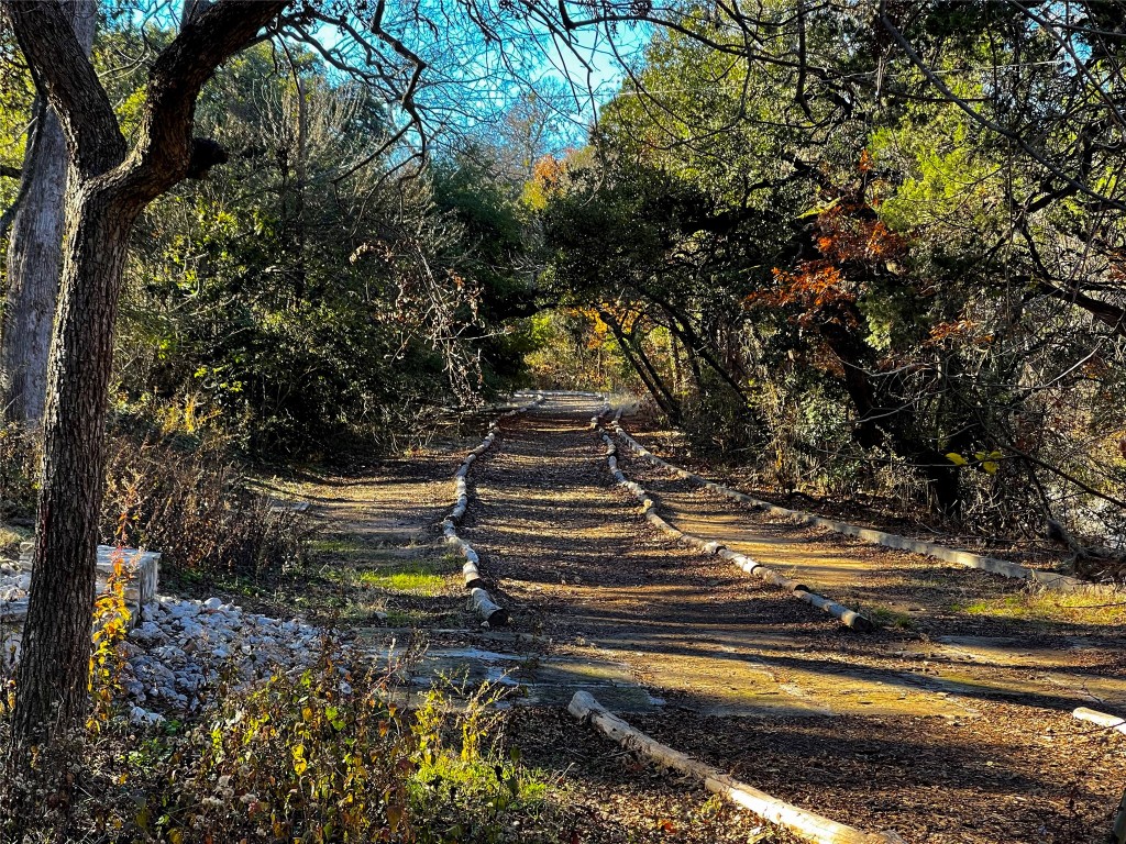 206 E Monroe Street , Austin, TX, 78704 | 8467804 | Realty Texas LLC