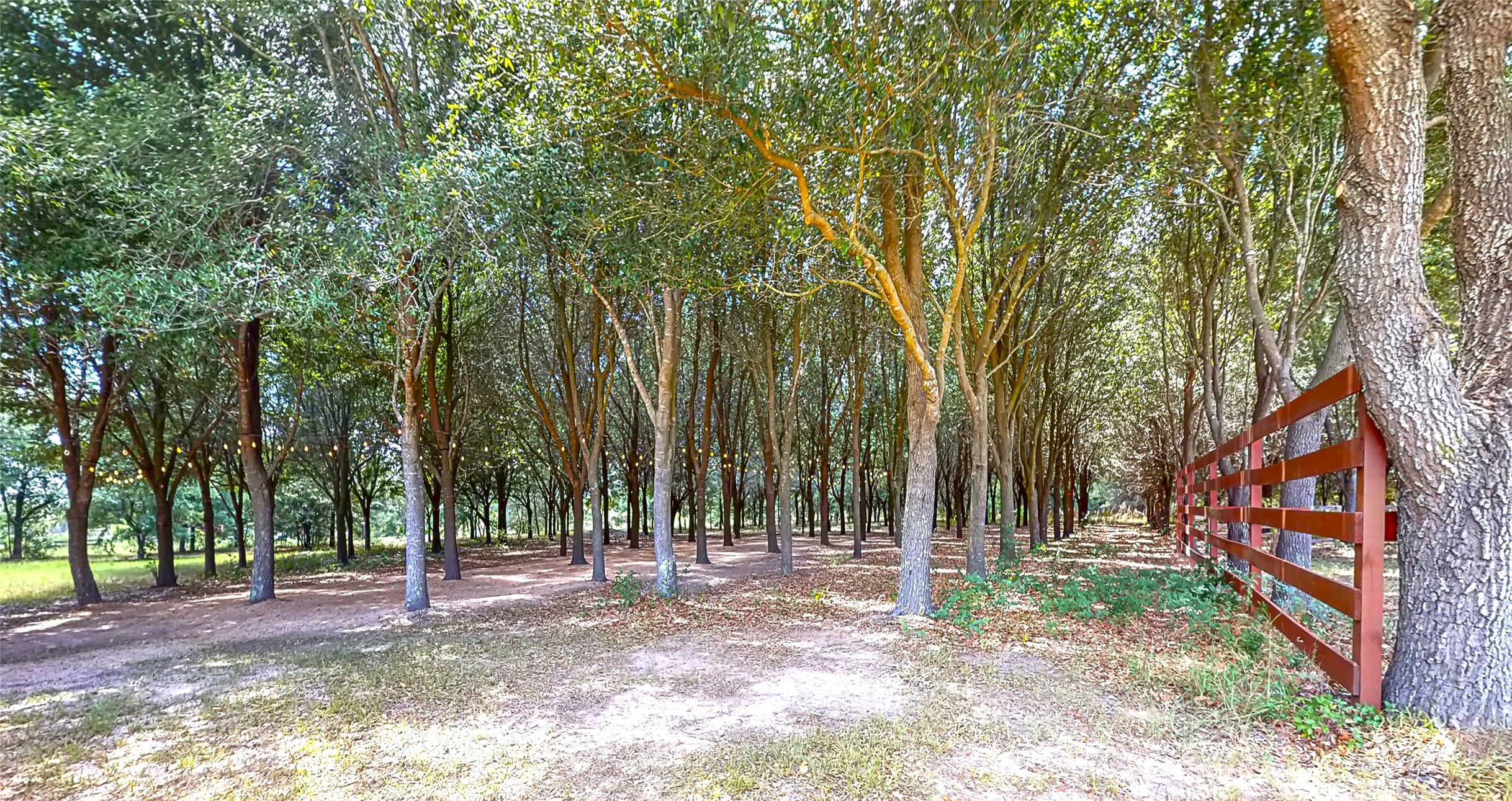 17011 Steinhagen Road , Cypress, TX, 77429 | 43533431 | Realty Texas LLC