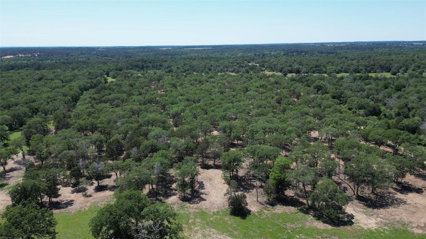 431 Nink Road , Smithville, TX, 78957 | 5715148 | Realty Texas LLC