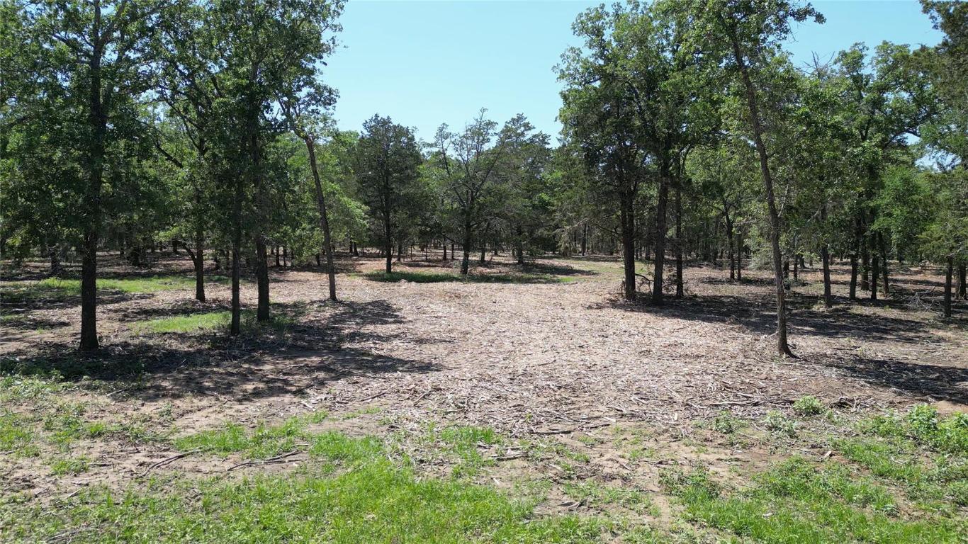 431 Nink Road , Smithville, TX, 78957 | 5715148 | Realty Texas LLC