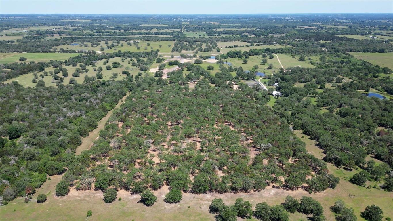 431 Nink Road , Smithville, TX, 78957 | 5715148 | Realty Texas LLC