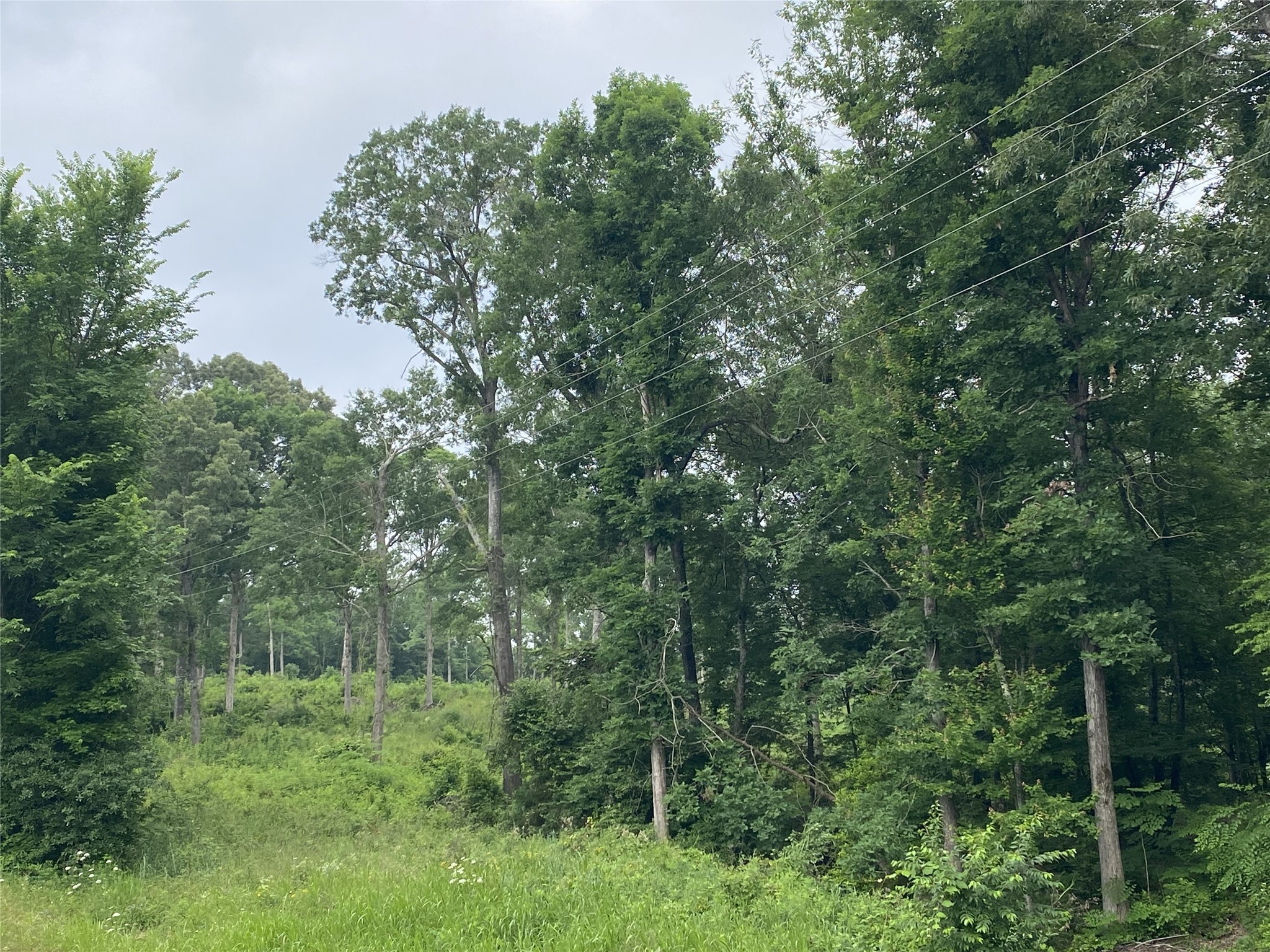 TBD US HWY 259 , Ore City, TX, 75683 | 20951720 | Realty Texas LLC