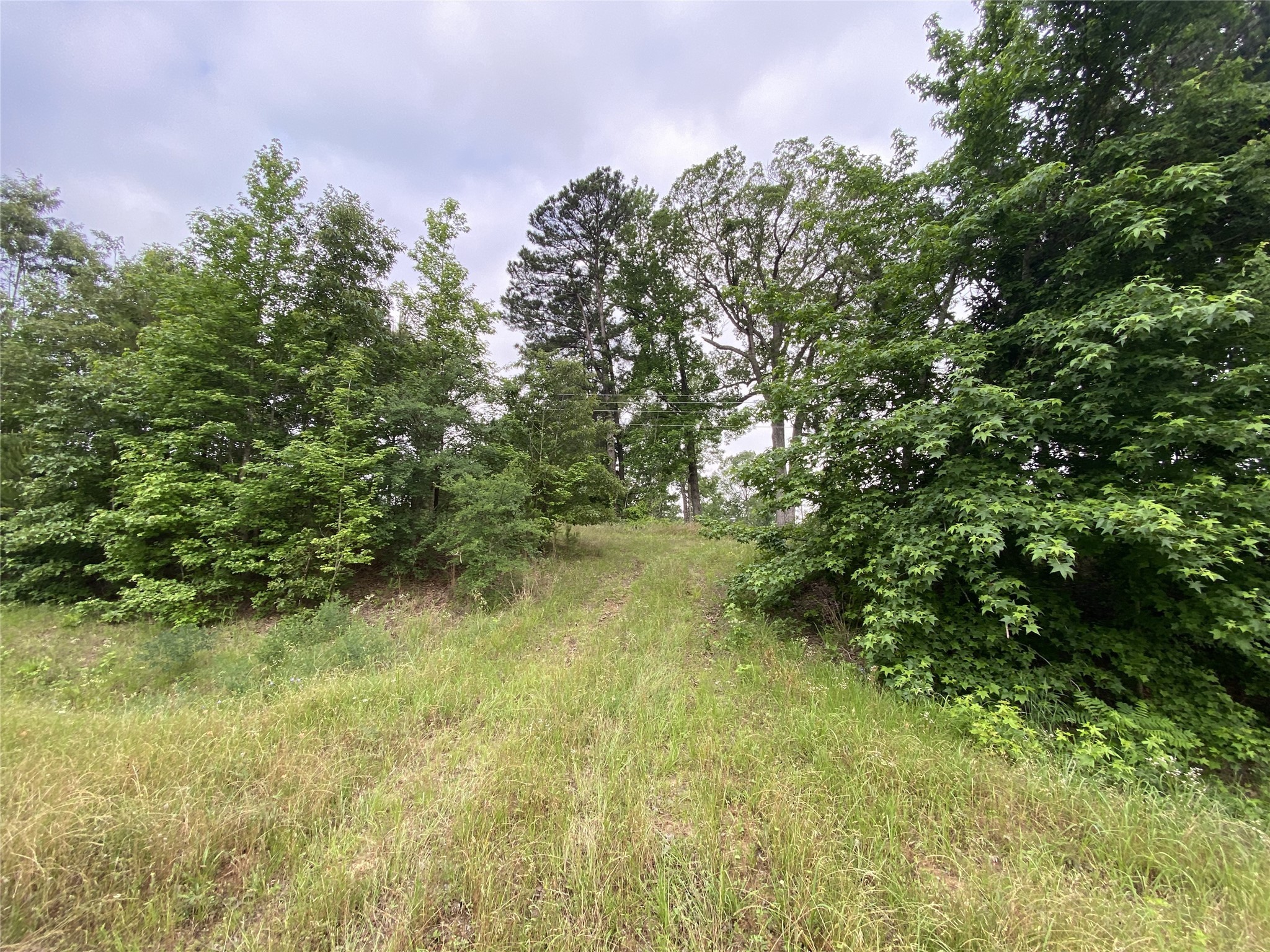 TBD US HWY 259 , Ore City, TX, 75683 | 20951720 | Realty Texas LLC