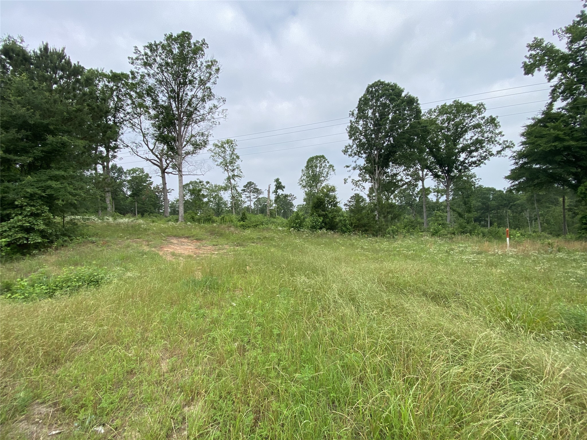 TBD US HWY 259 , Ore City, TX, 75683 | 20951720 | Realty Texas LLC
