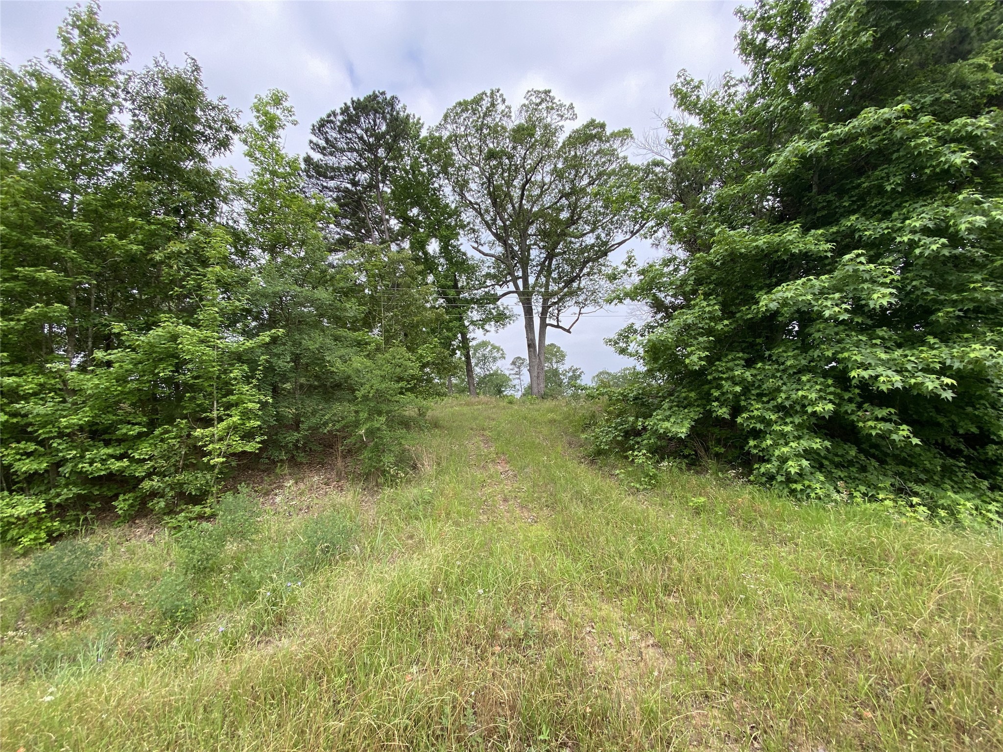 TBD US HWY 259 , Ore City, TX, 75683 | 20951720 | Realty Texas LLC