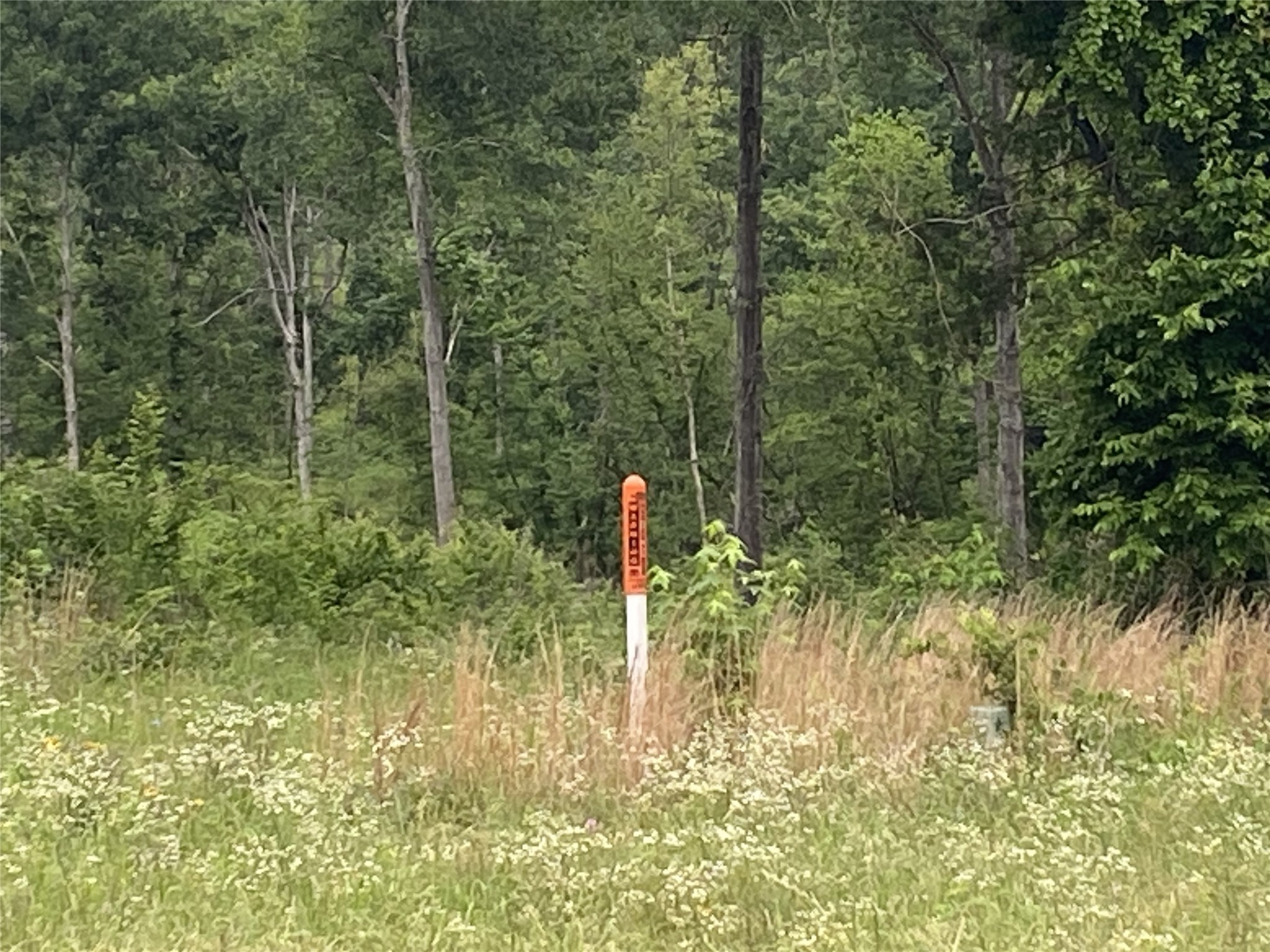 TBD US HWY 259 , Ore City, TX, 75683 | 20951720 | Realty Texas LLC