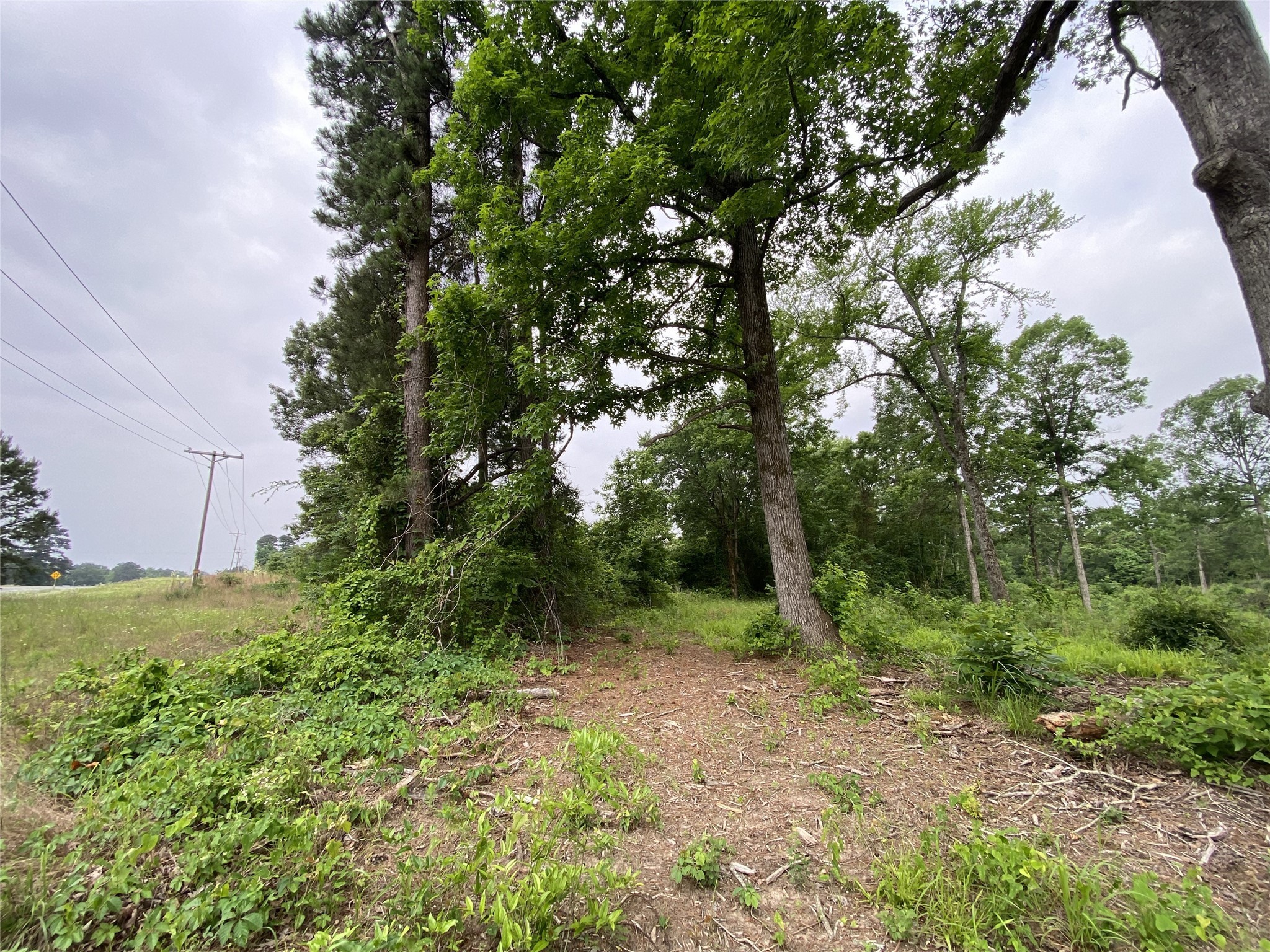 TBD US HWY 259 , Ore City, TX, 75683 | 20951720 | Realty Texas LLC