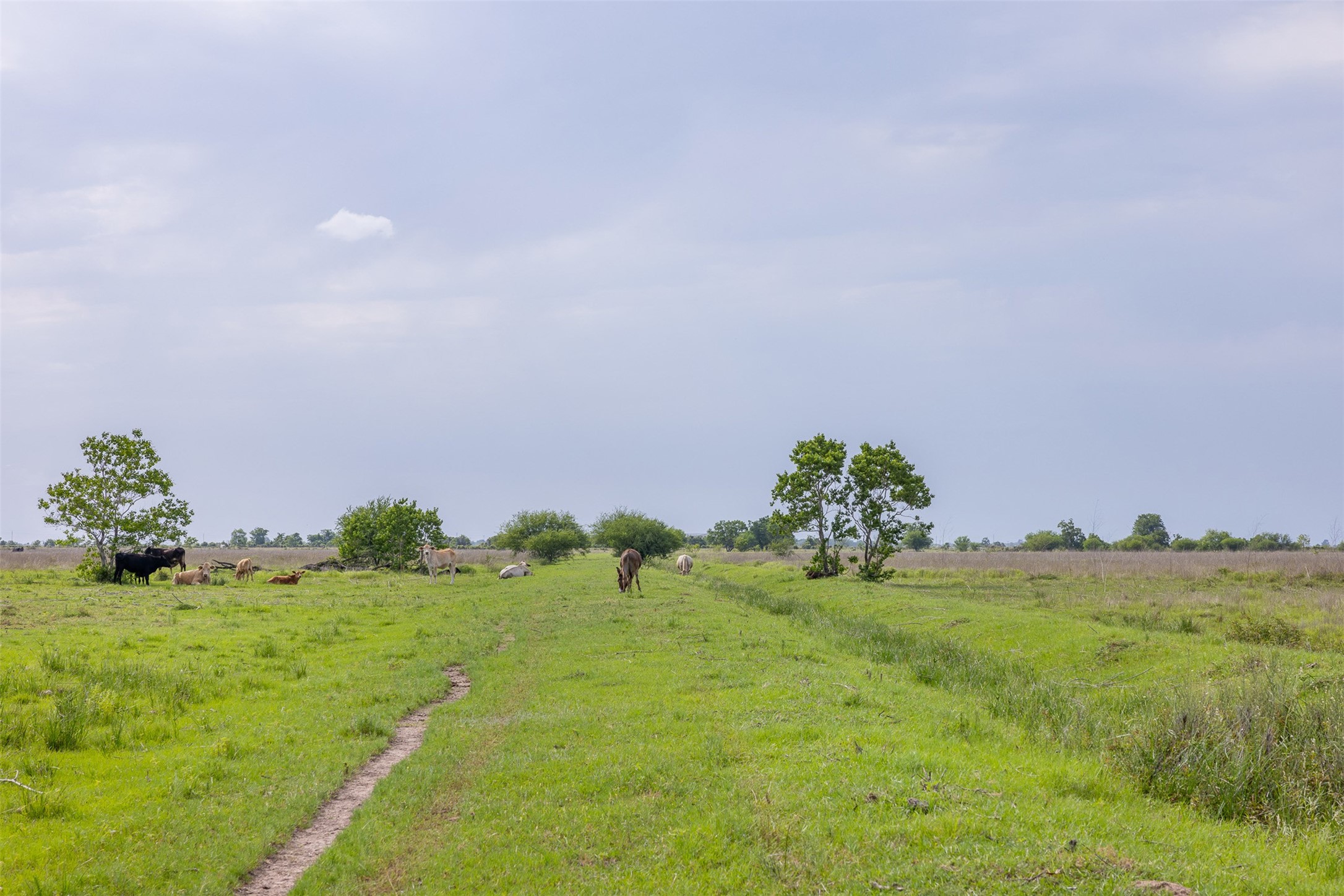 8417 Green Leaf Lane, Brookshire, TX, 77423 | 3941648 | Realty Texas LLC