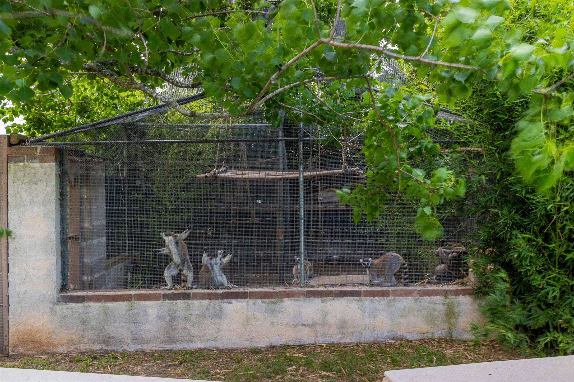 8417 Green Leaf Lane, Brookshire, TX, 77423 | 3941648 | Realty Texas LLC