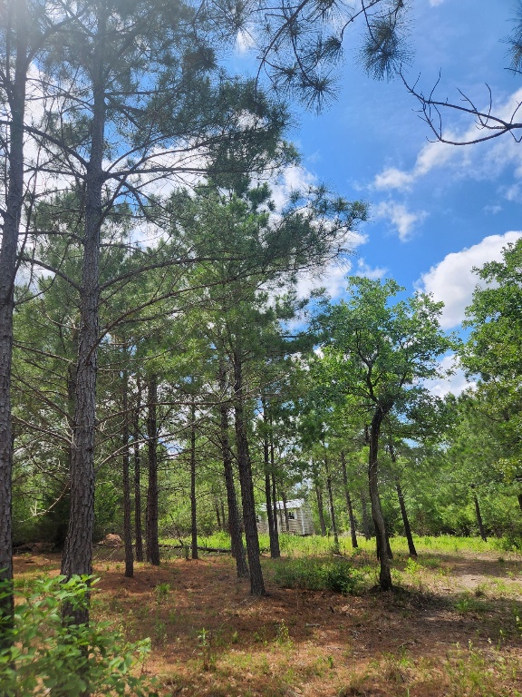 124 Paintbrush Lane , Bastrop, TX, 78602 | 7885918 | Realty Texas LLC