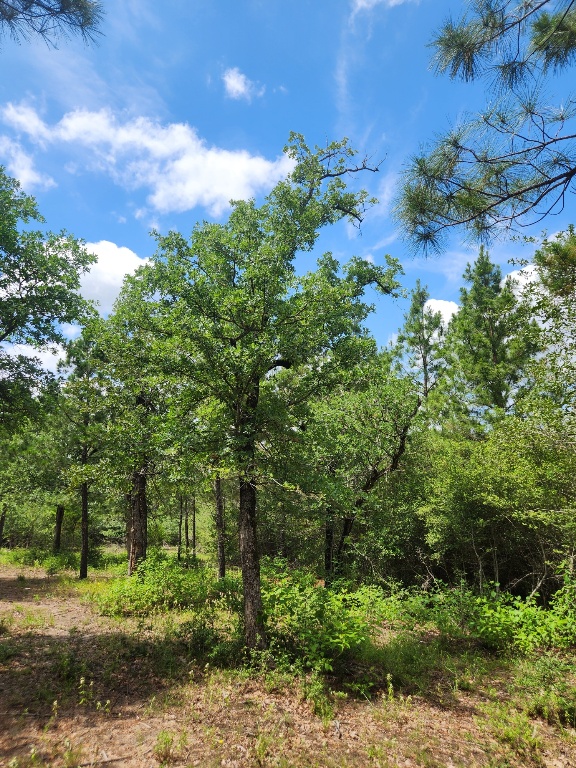 124 Paintbrush Lane , Bastrop, TX, 78602 | 7885918 | Realty Texas LLC