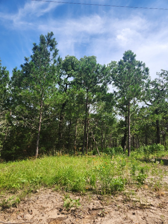 124 Paintbrush Lane , Bastrop, TX, 78602 | 7885918 | Realty Texas LLC