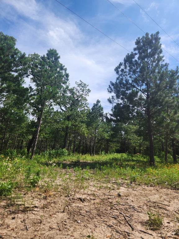 124 Paintbrush Lane , Bastrop, TX, 78602 | 7885918 | Realty Texas LLC