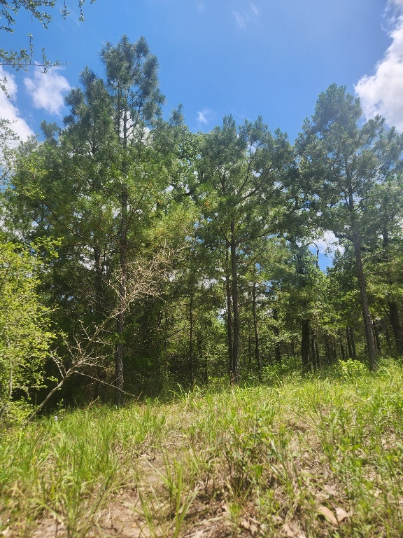 124 Paintbrush Lane , Bastrop, TX, 78602 | 7885918 | Realty Texas LLC
