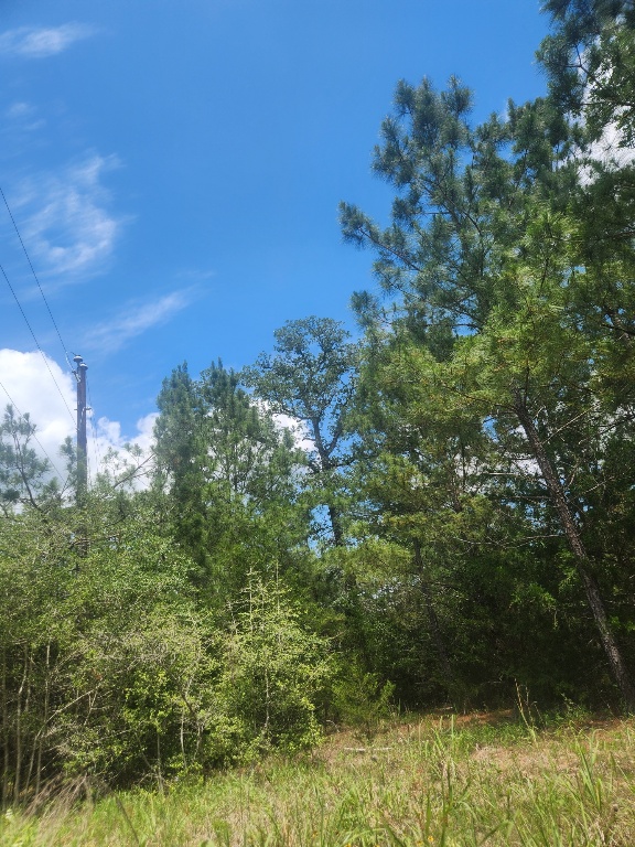 124 Paintbrush Lane , Bastrop, TX, 78602 | 7885918 | Realty Texas LLC