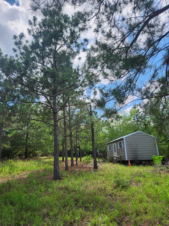 124 Paintbrush Lane , Bastrop, TX, 78602 | 7885918 | Realty Texas LLC