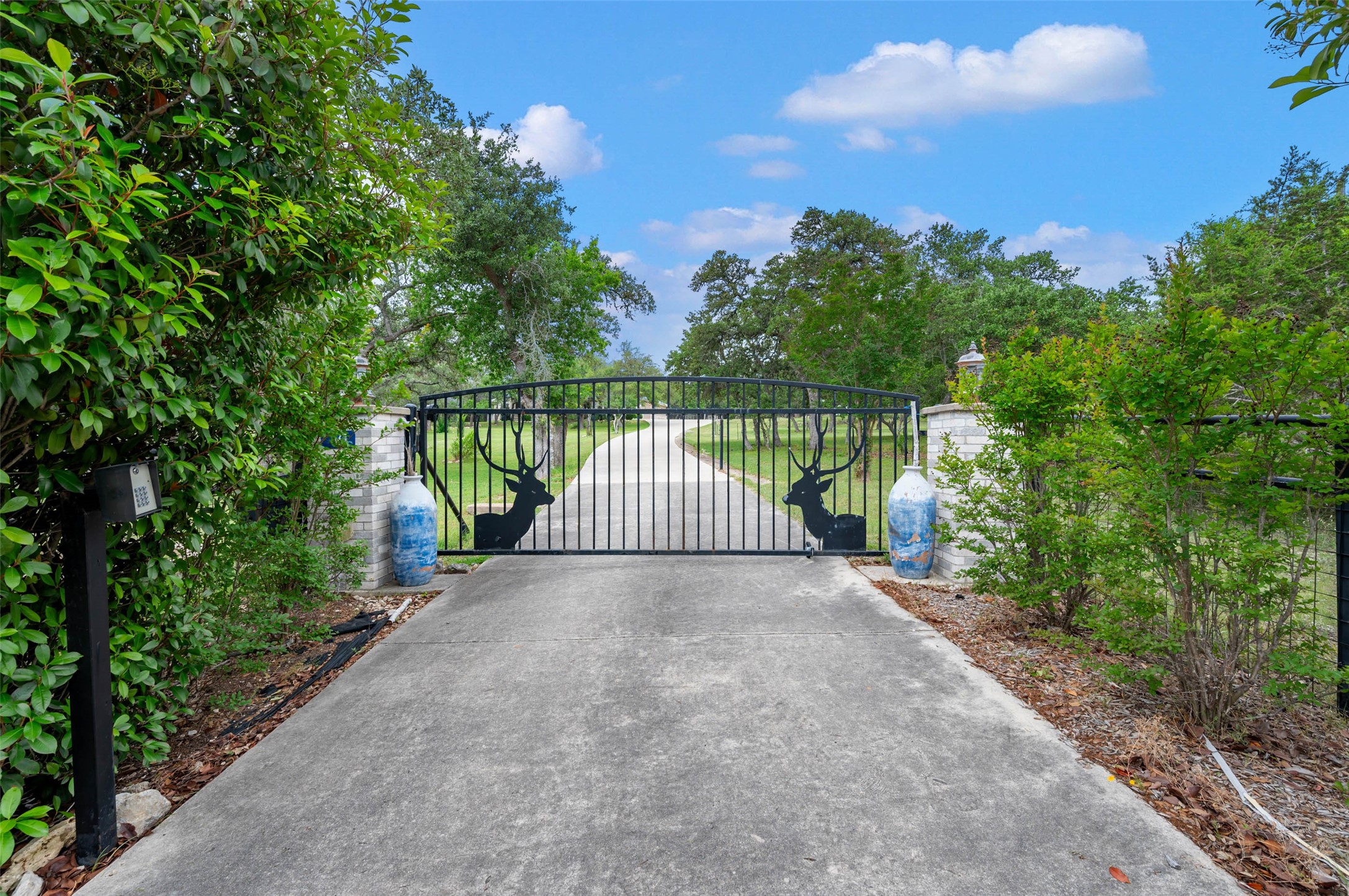 161 N Stallion Estates Drive , Spring Branch, TX, 78070 | 23612474 | Realty Texas LLC