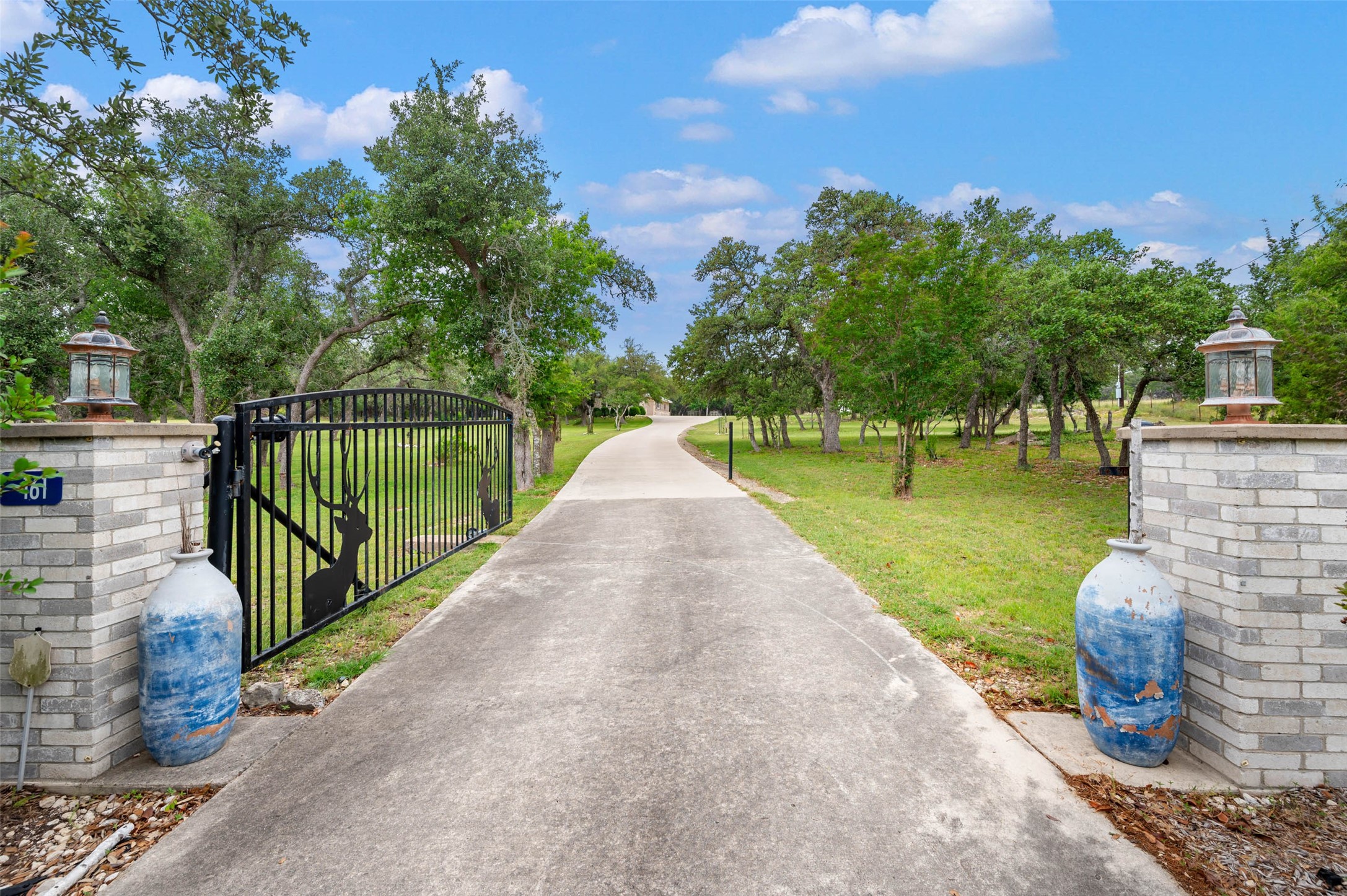 161 N Stallion Estates Drive , Spring Branch, TX, 78070 | 23612474 | Realty Texas LLC