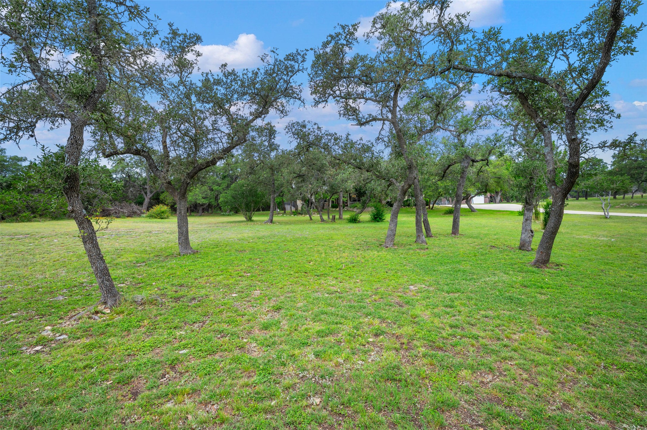 161 N Stallion Estates Drive , Spring Branch, TX, 78070 | 23612474 | Realty Texas LLC