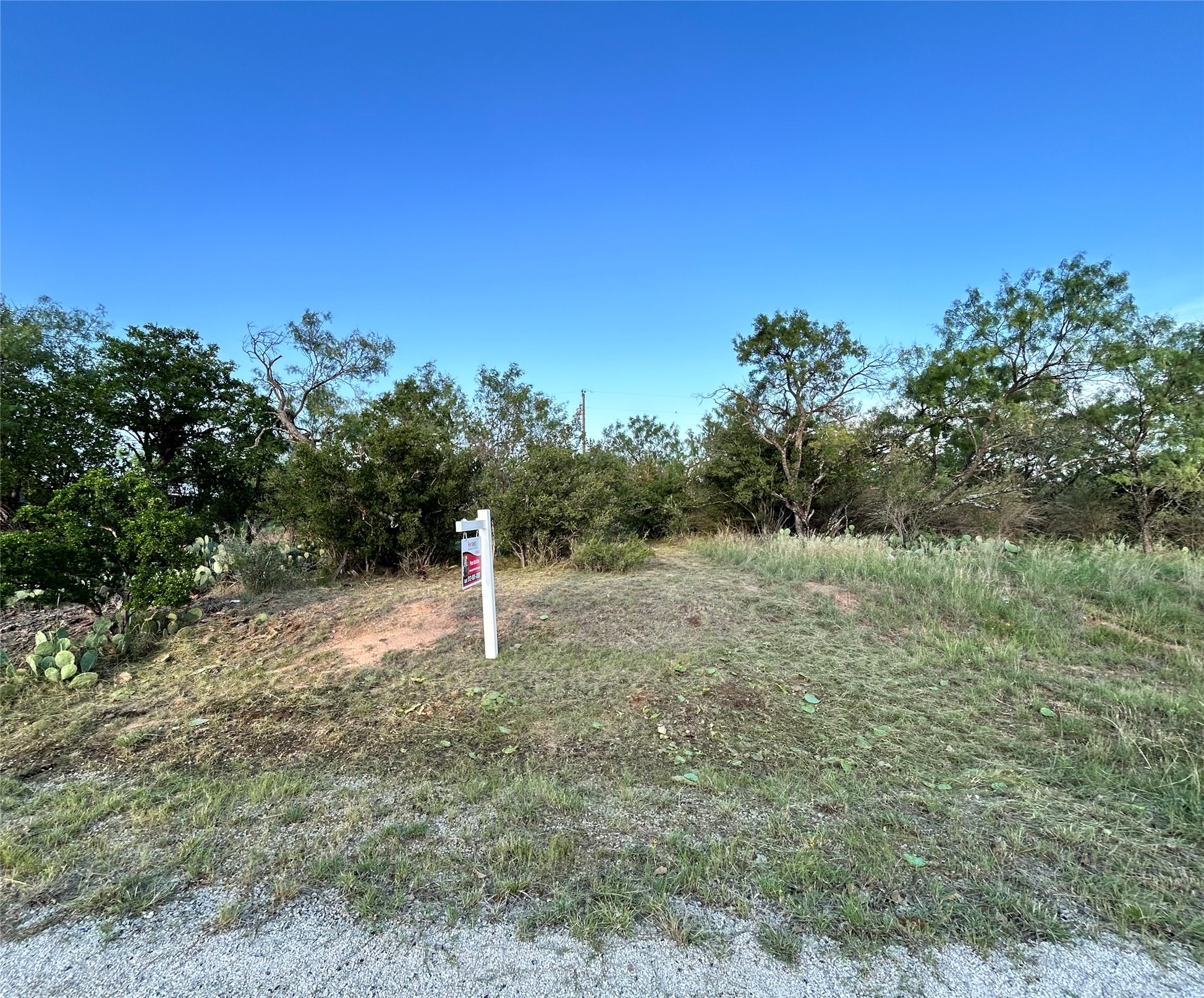 TBD Cactus TRL, Kingsland, TX, 78639 | 7287192 | Realty Texas LLC