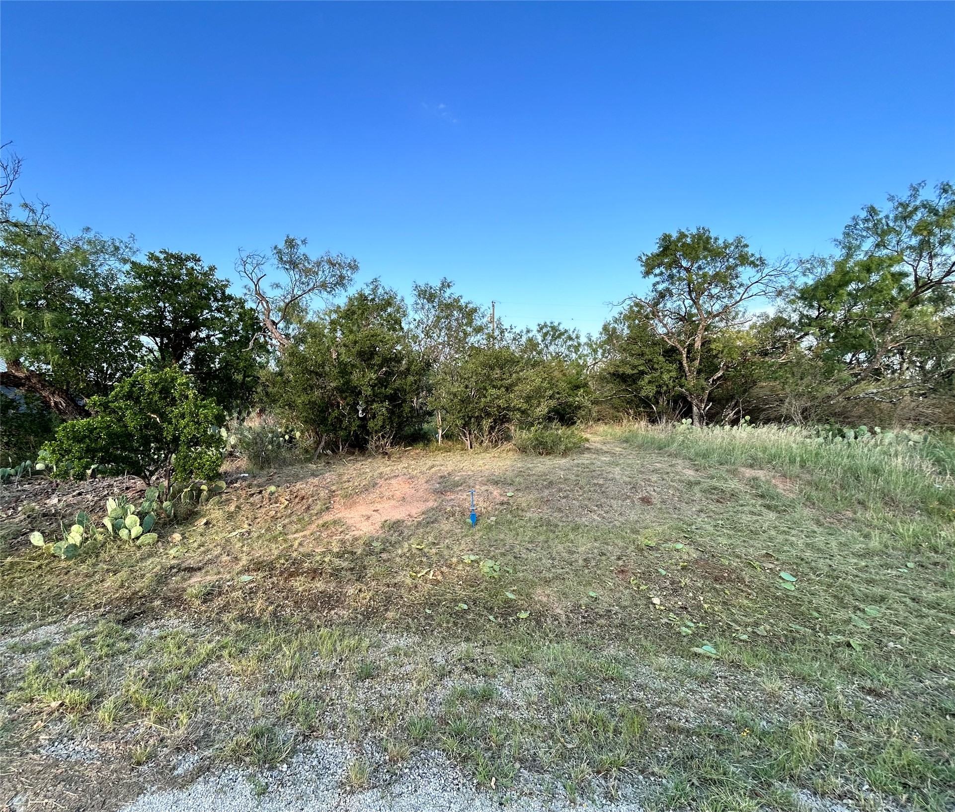 TBD Cactus TRL, Kingsland, TX, 78639 | 7287192 | Realty Texas LLC
